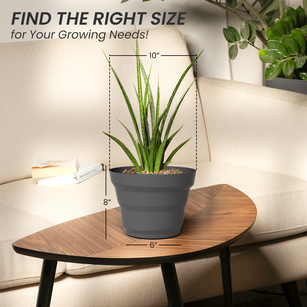 SHERA | RING PLANTER