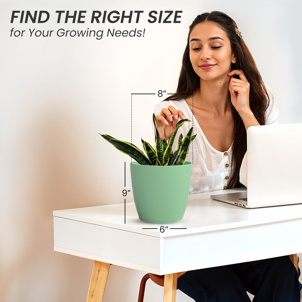 SHERA | STELLA PLANTER