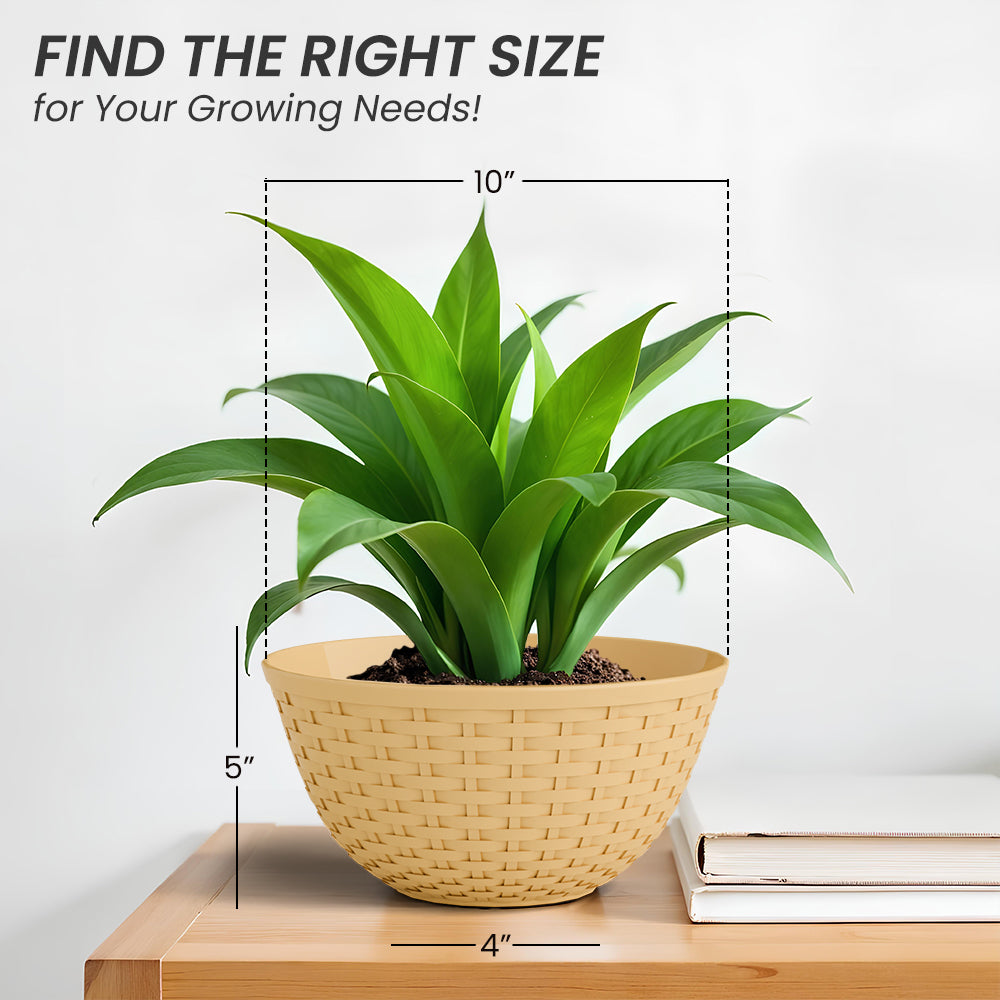 SHERA | CHICK KTR PLANTER