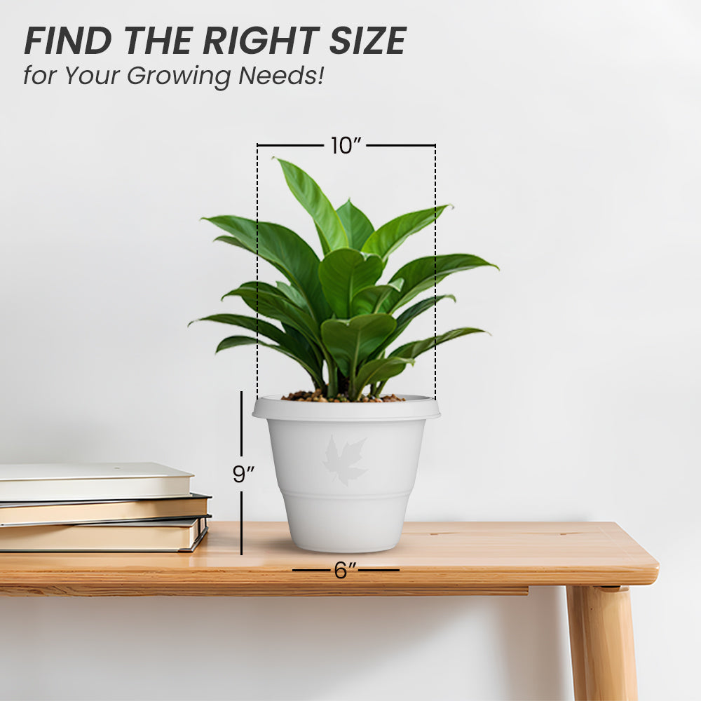 SHERA | RD PLANTER