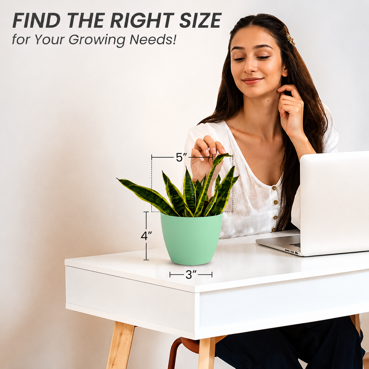 SHERA | STELLA PLANTER