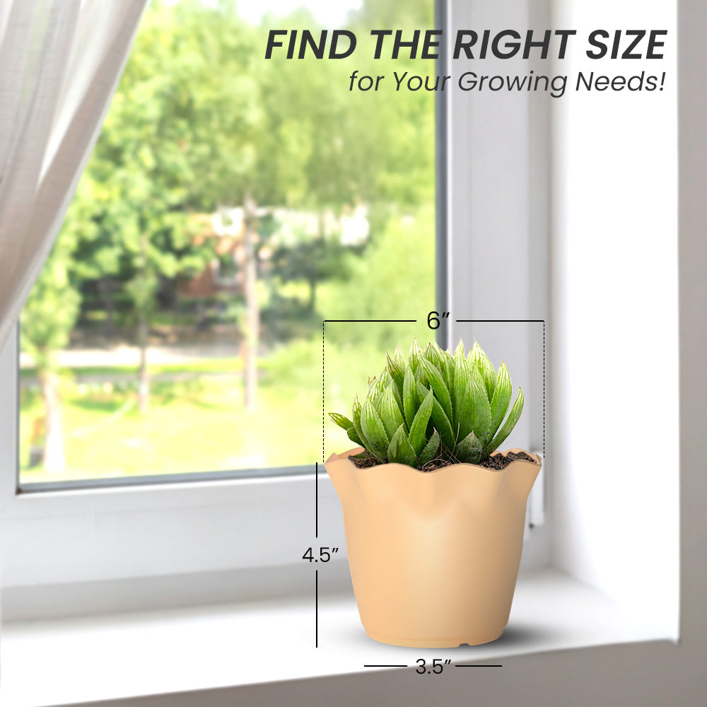 SHERA | FLOWER PLANTER