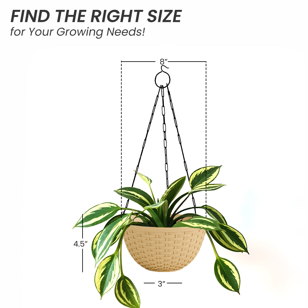 SHERA | CHICK HANGING