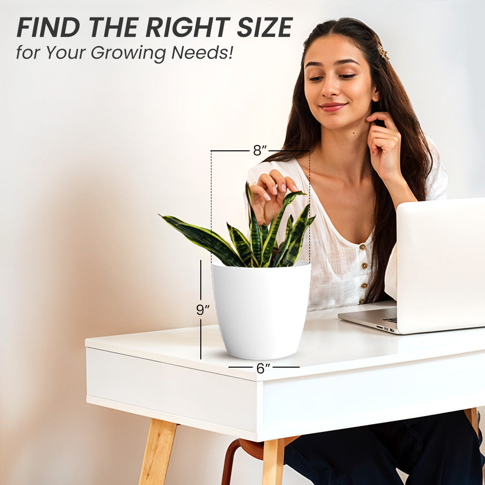 SHERA | STELLA PLANTER