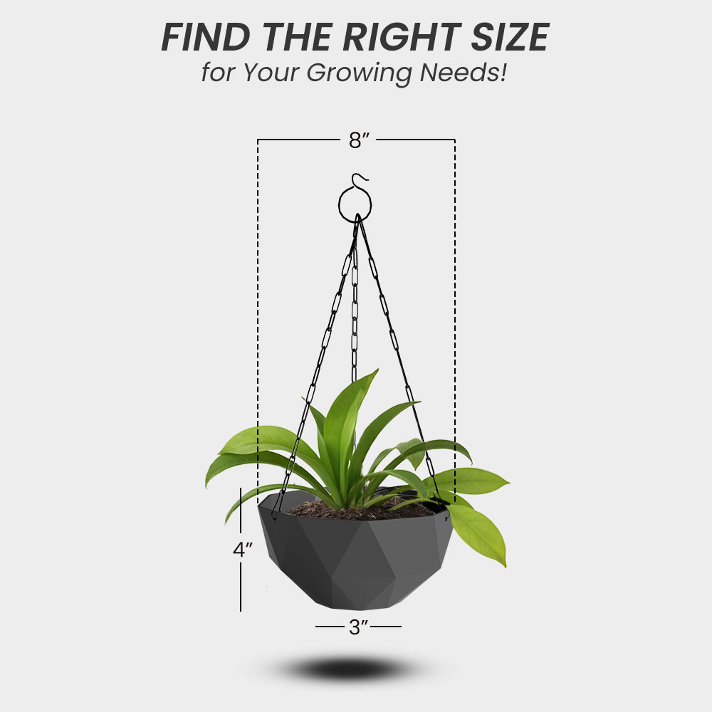 SHERA | DMD HANGING