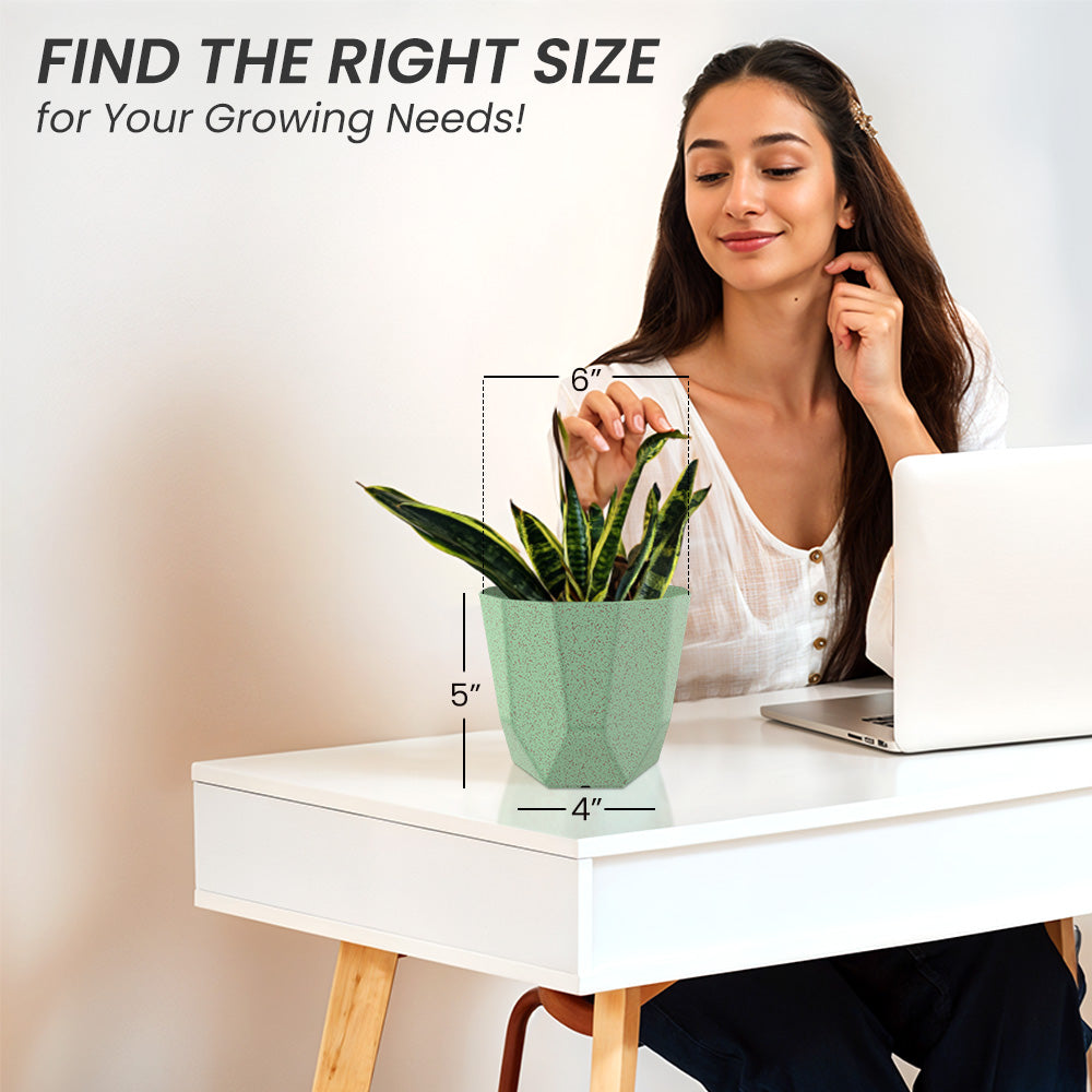 SHERA | HEXA BIO PLANTER