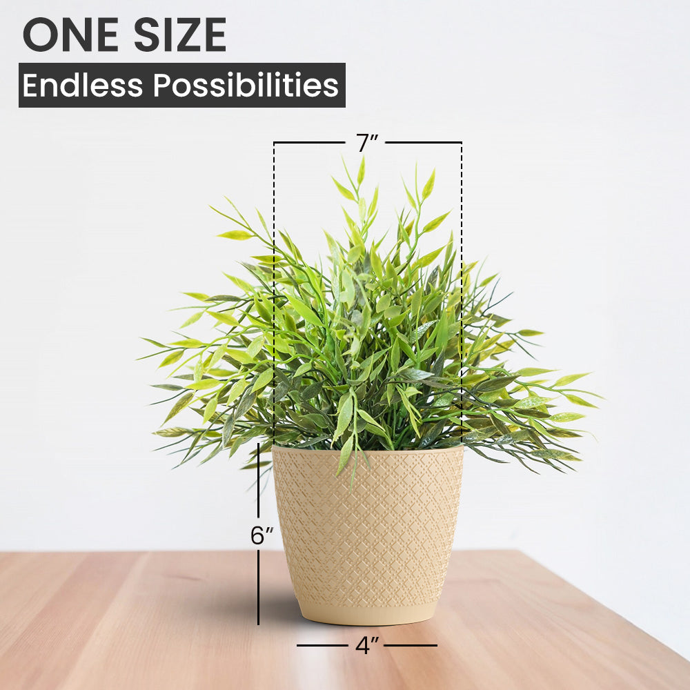 SHERA | CRUZ PLANTER