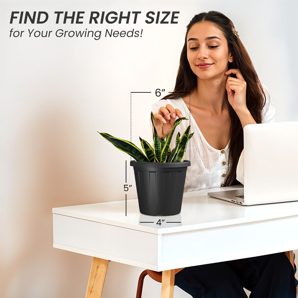 SHERA | CROWN PLANTER