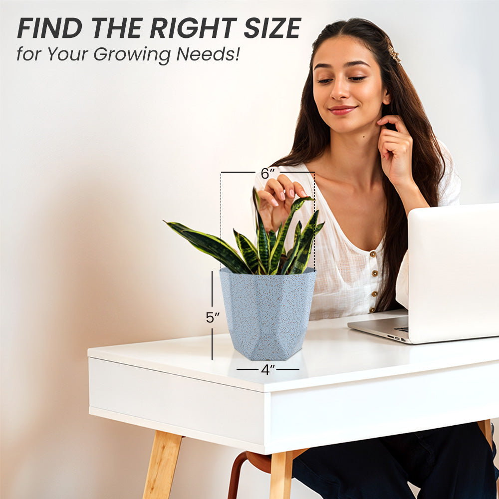 SHERA | HEXA BIO PLANTER