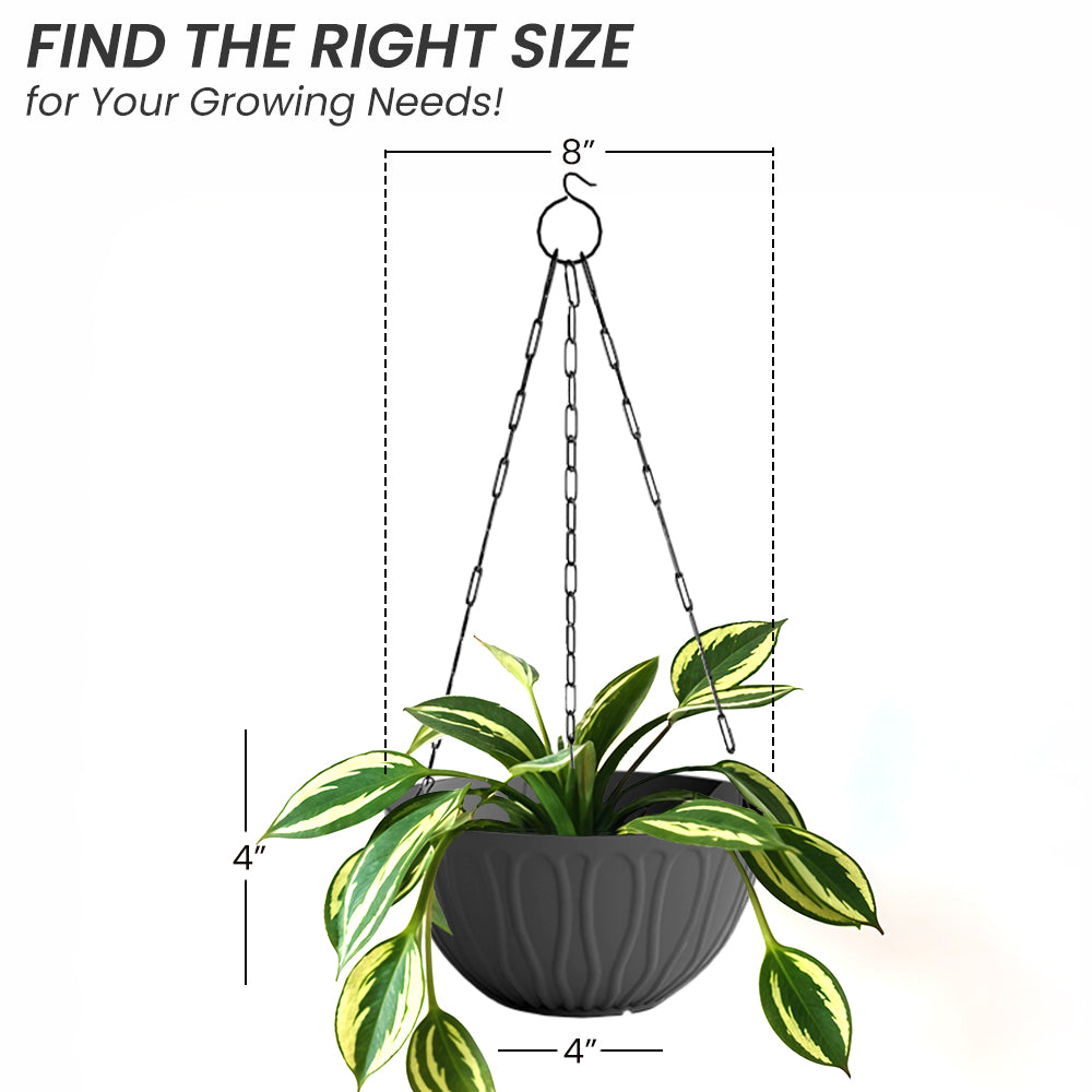 SHERA | WAVE HANGING