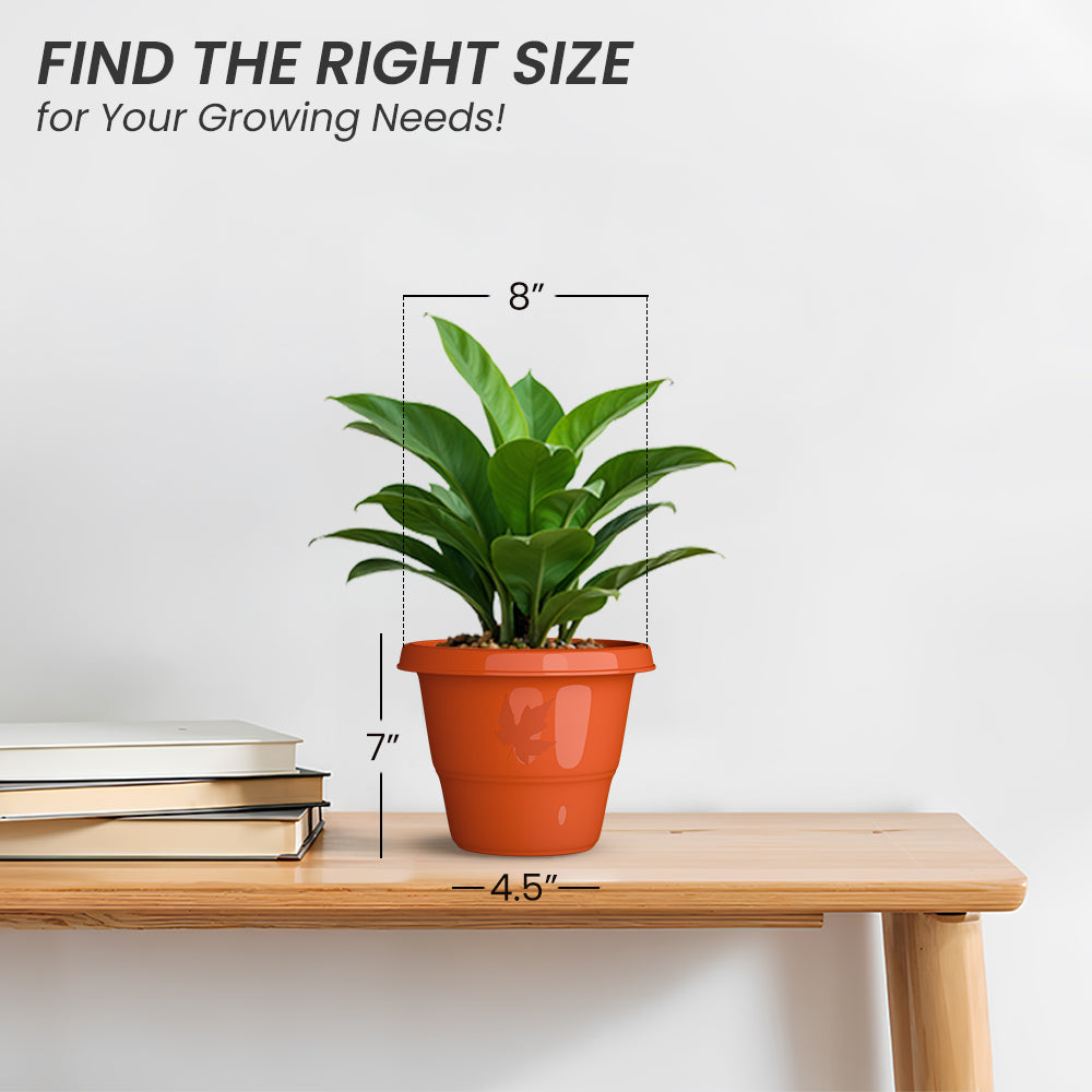 SHERA | RD PLANTER