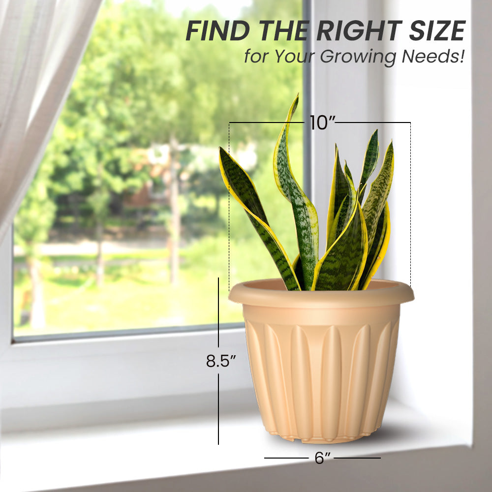 SHERA | FLOOT PLANTER