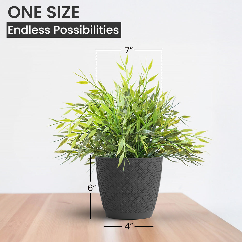 SHERA | CRUZ PLANTER