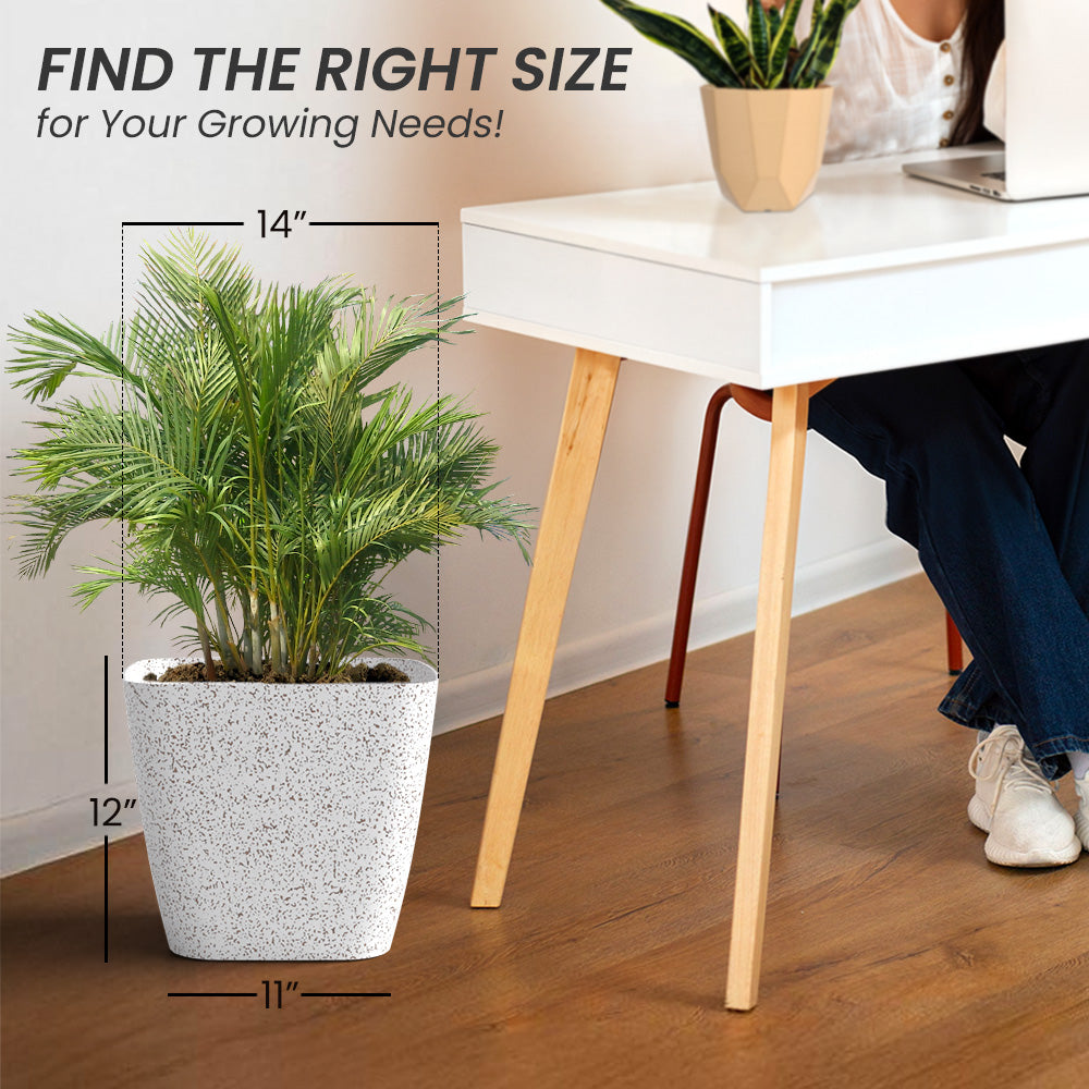 SHERA | STOIC PLANTER