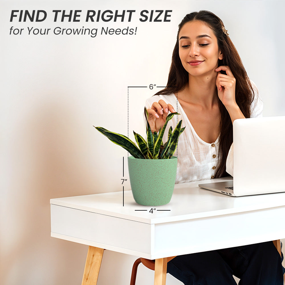 SHERA | STELLA BIO PLANTER