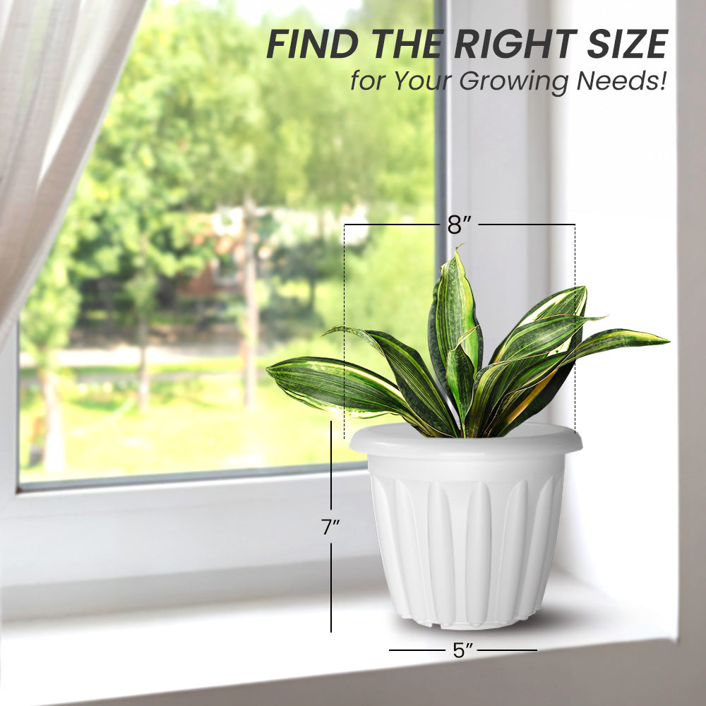 SHERA | FLOOT PLANTER