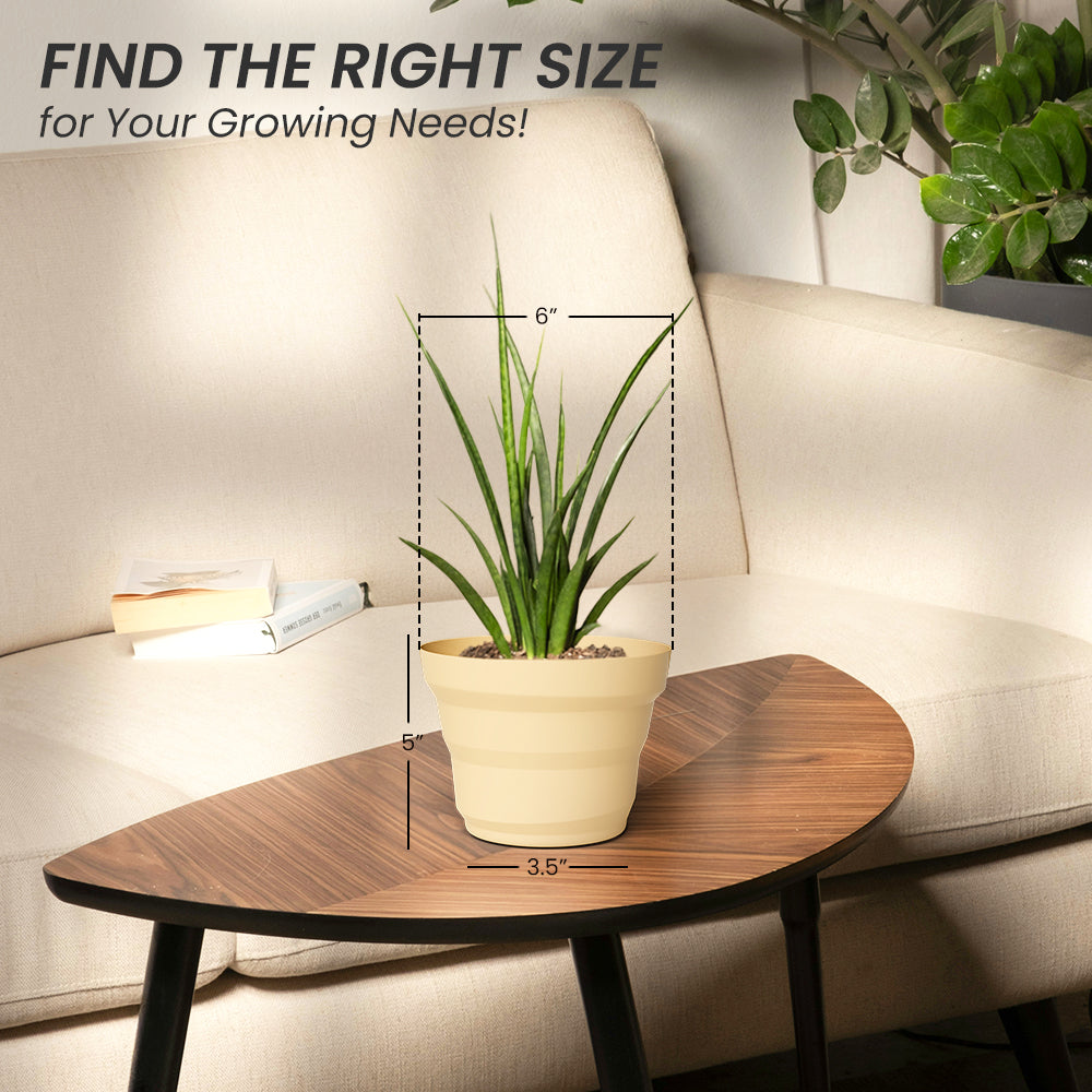 SHERA | RING PLANTER