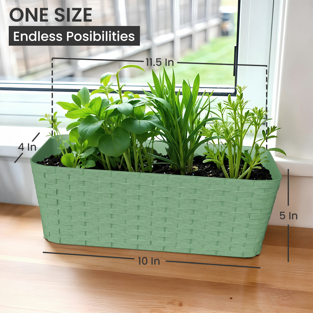 SHERA | RATTAN TRAY