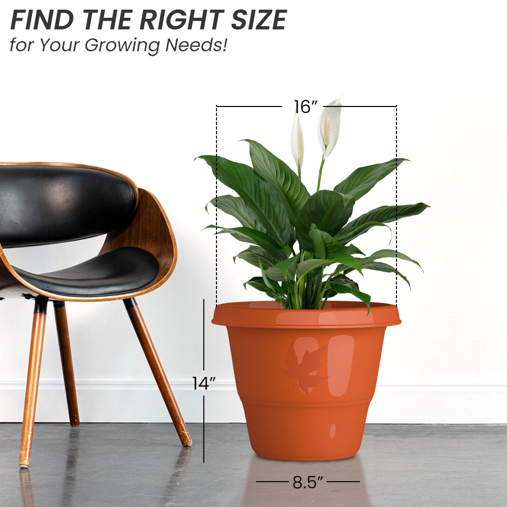 SHERA | RD PLANTER