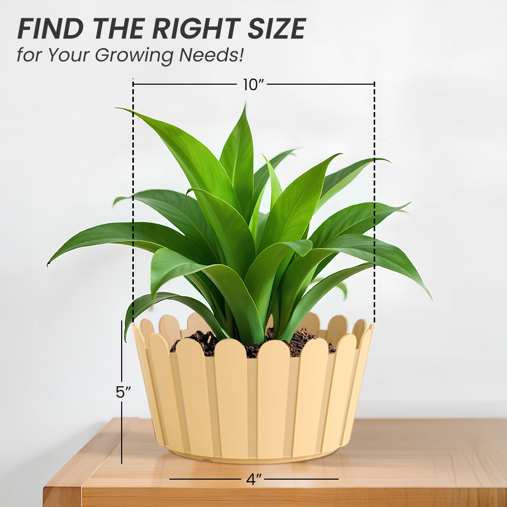 SHERA | FENCE KTR PLANTER