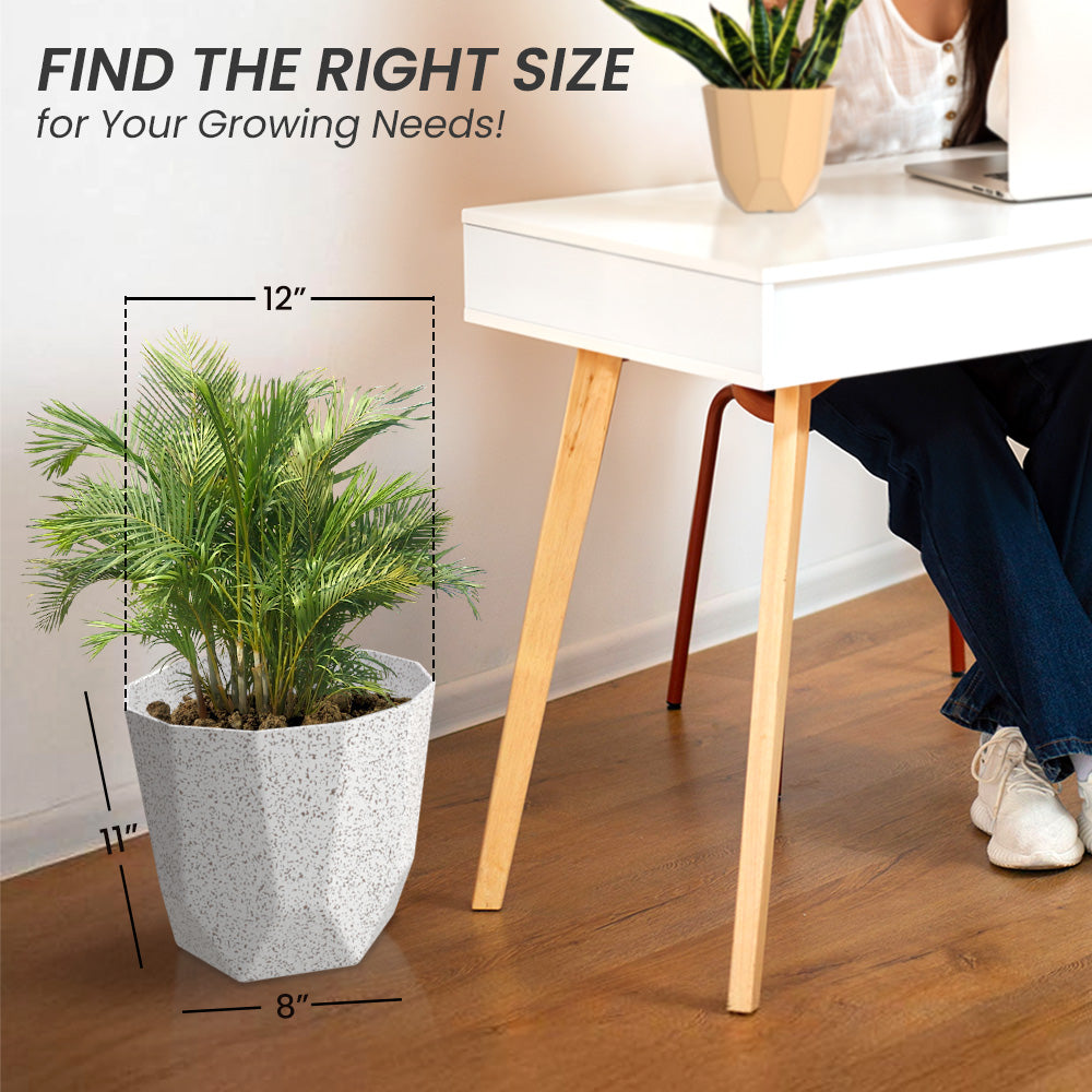 SHERA | HEXA PLANTER