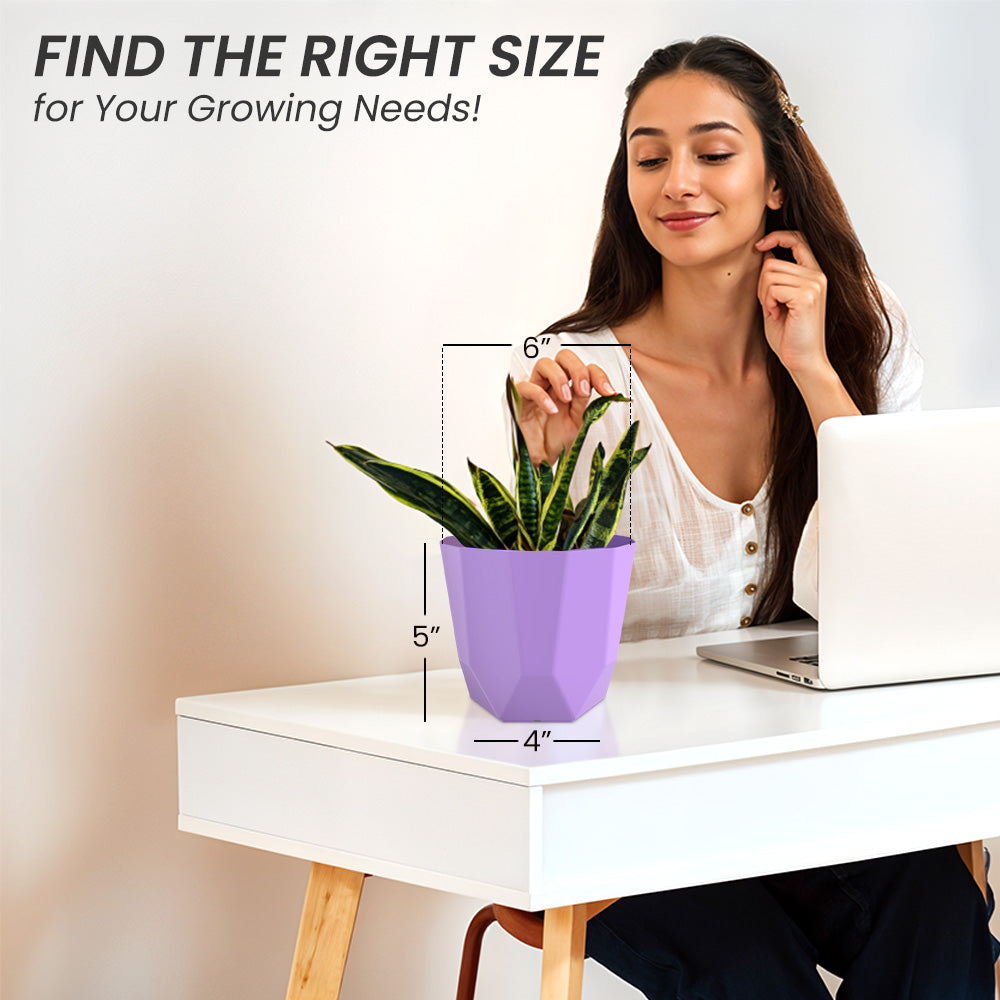 SHERA | HEXA PLANTER