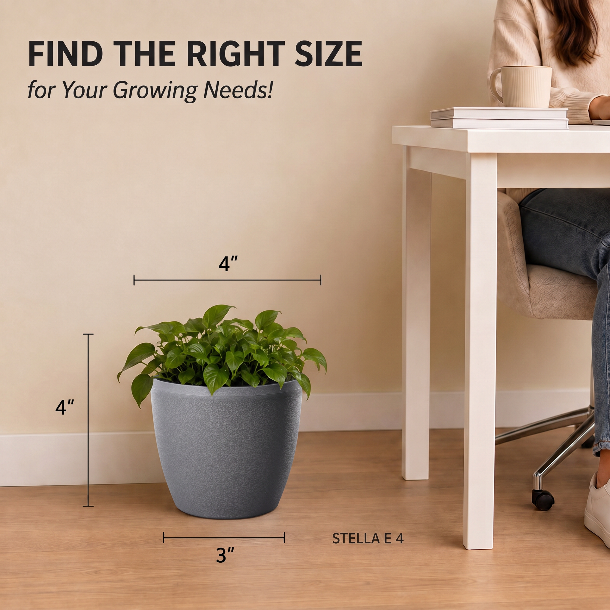 SHERA | STELLA E PLANTER
