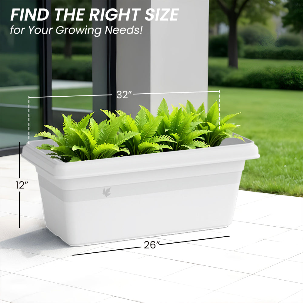 SHERA | TP PLANTER
