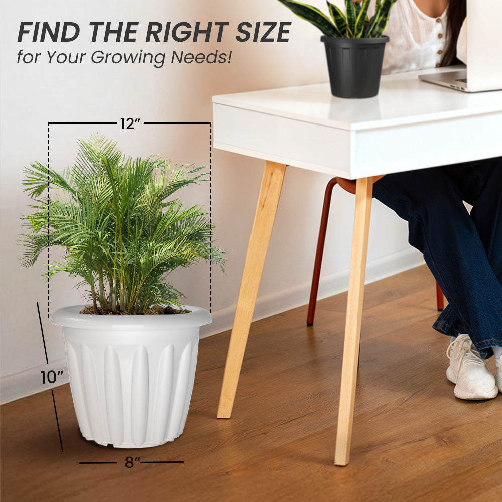 SHERA | FLOOT PLANTER