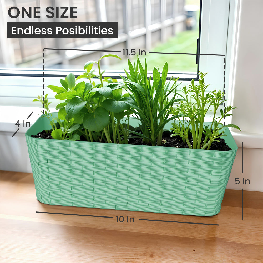 SHERA | RATTAN TRAY