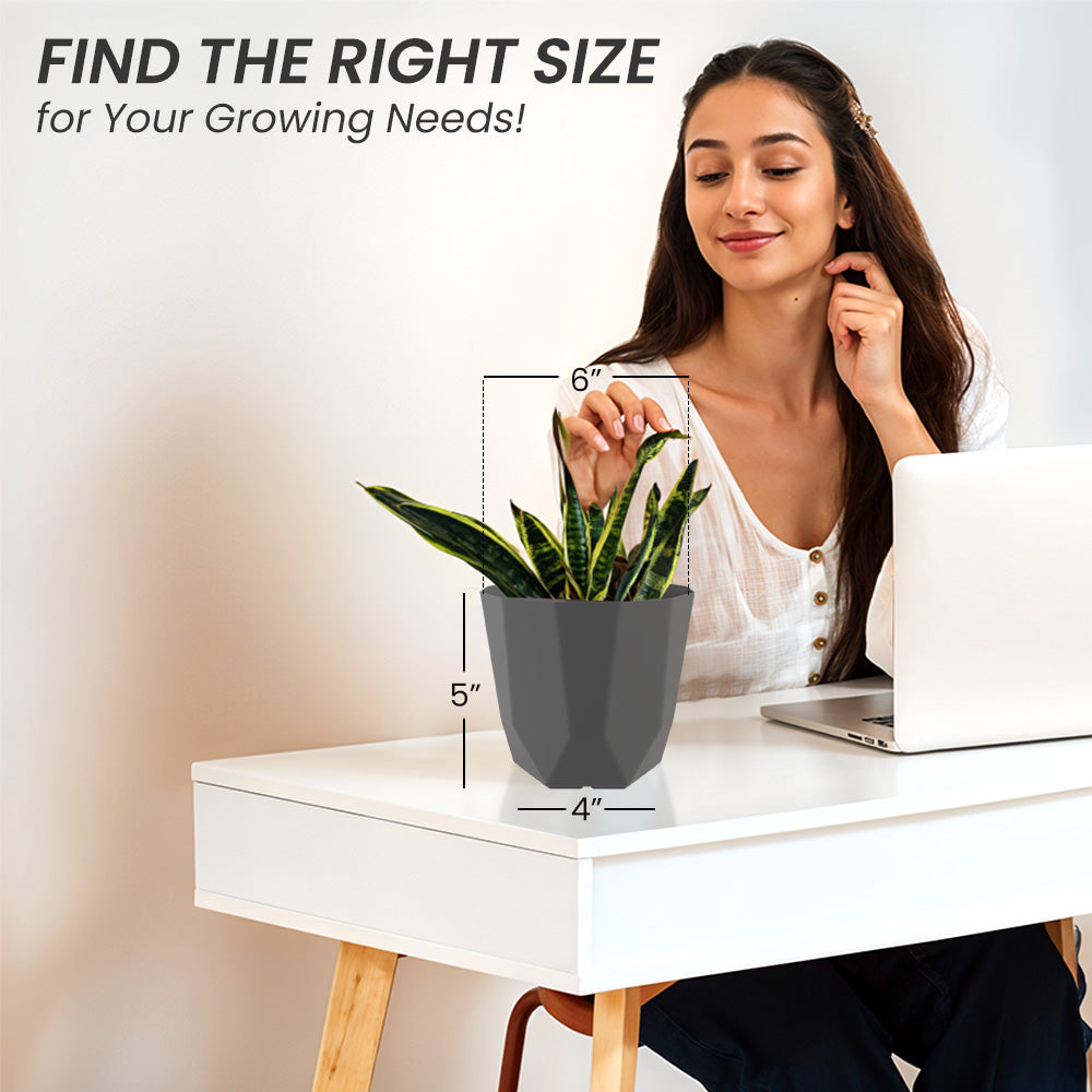 SHERA | HEXA PLANTER