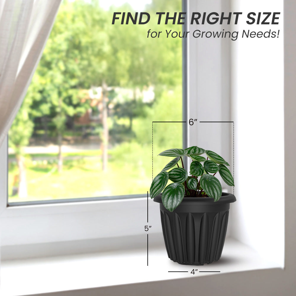 SHERA | FLOOT PLANTER