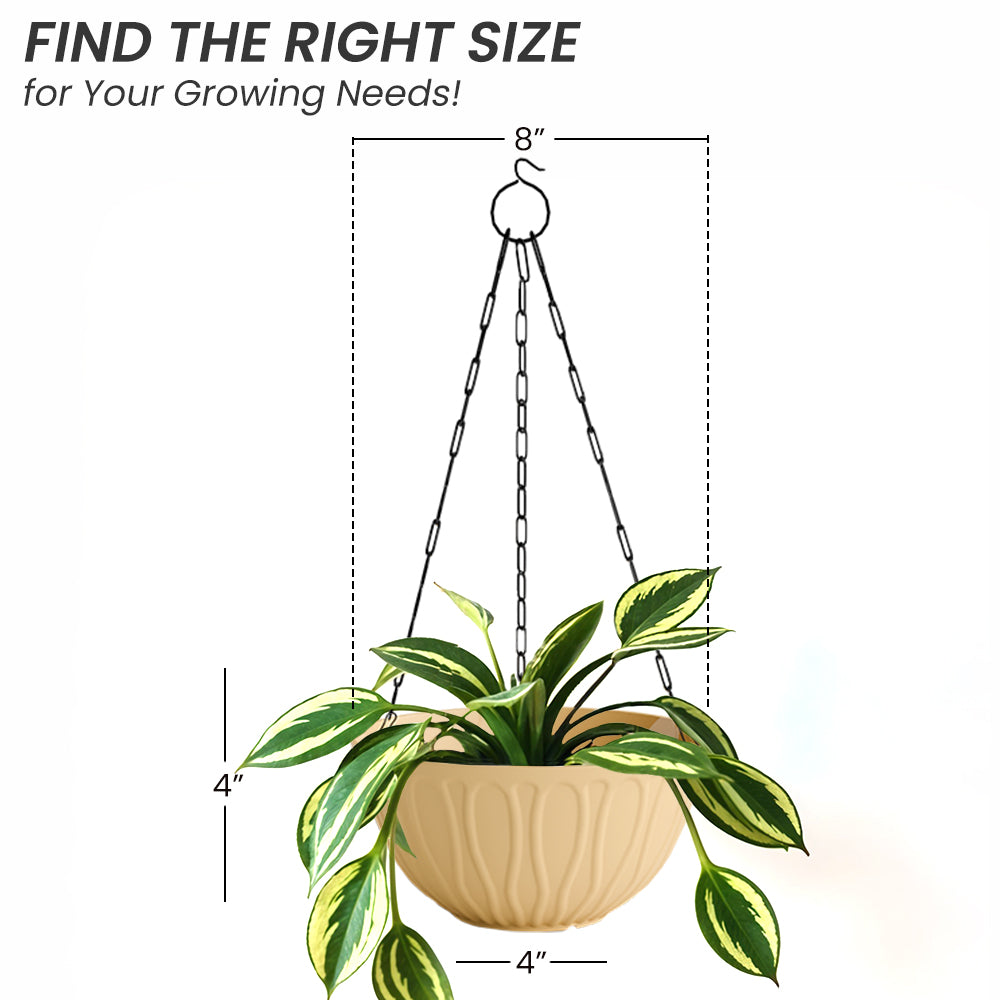 SHERA | WAVE HANGING