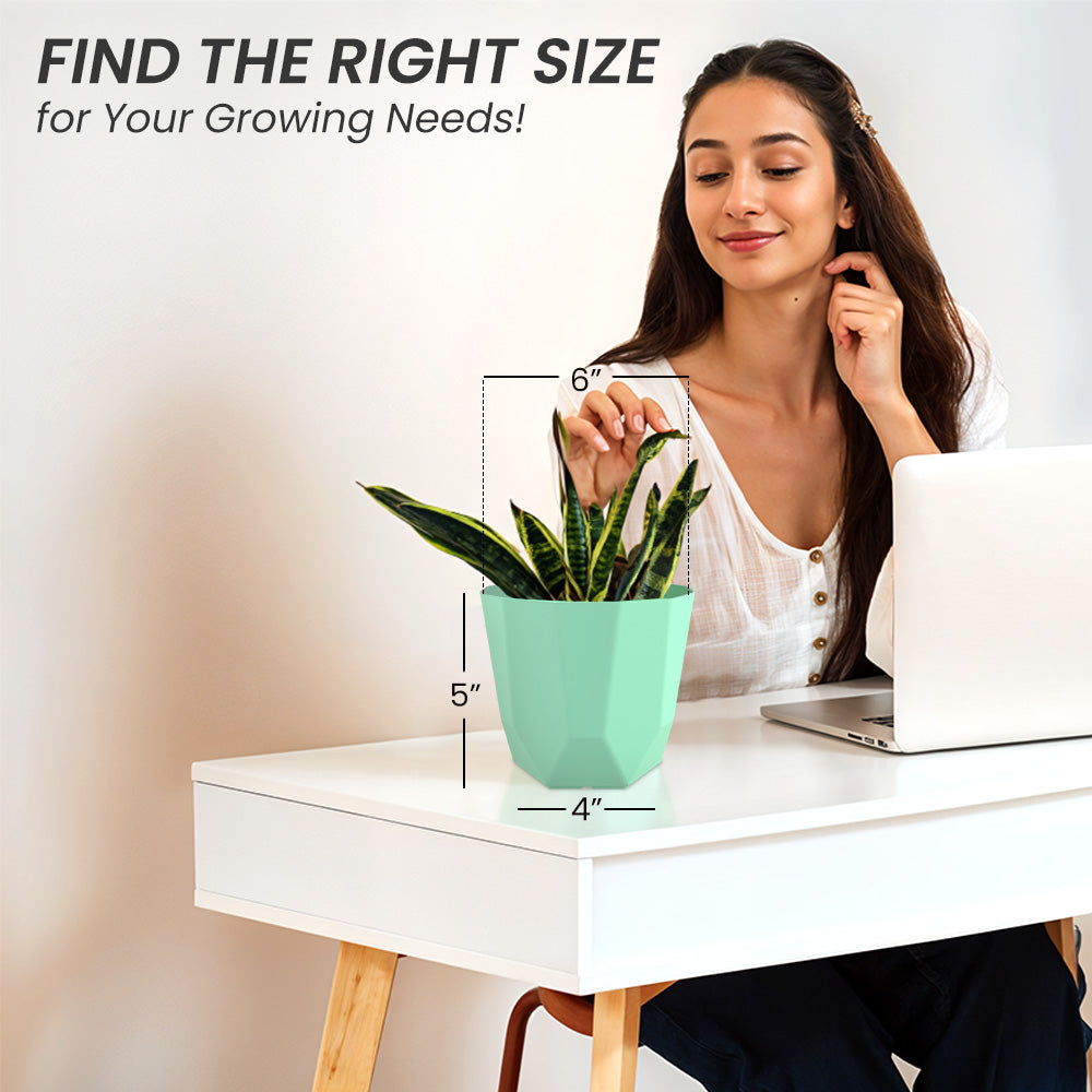 SHERA | HEXA PLANTER