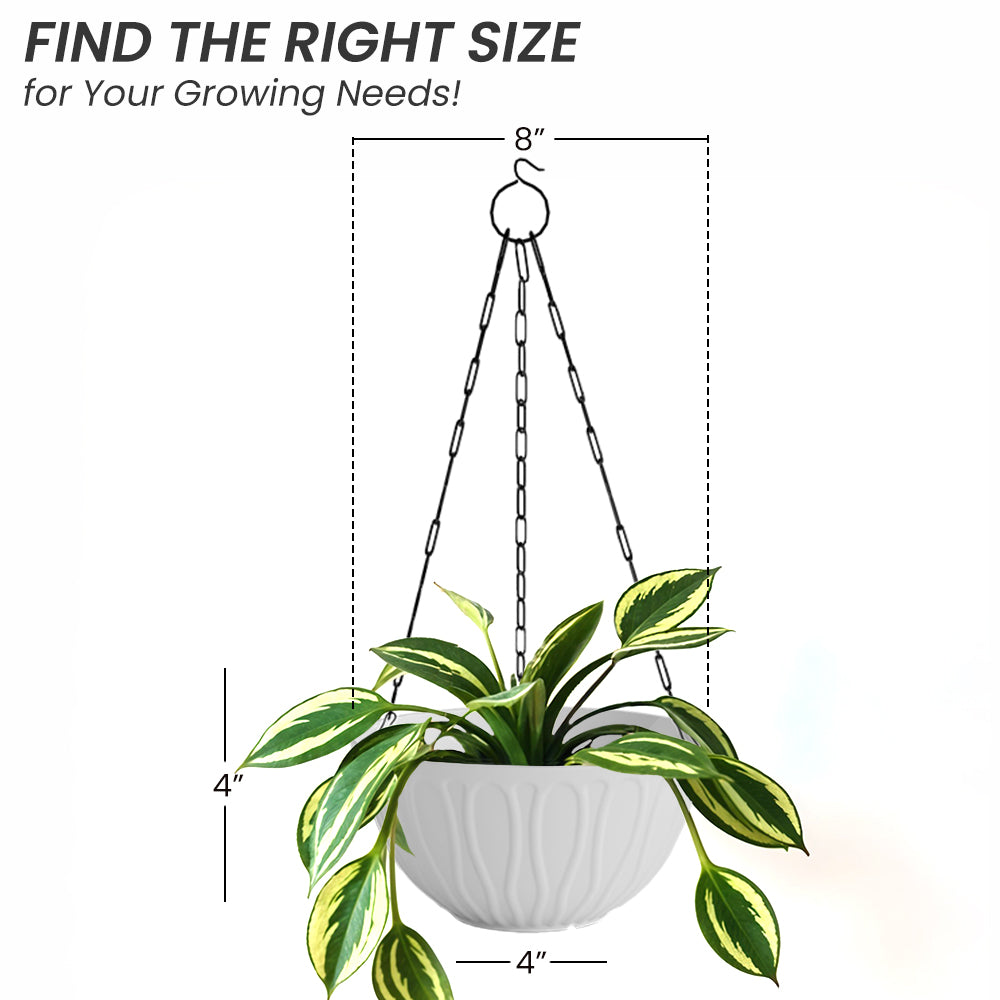 SHERA | WAVE HANGING