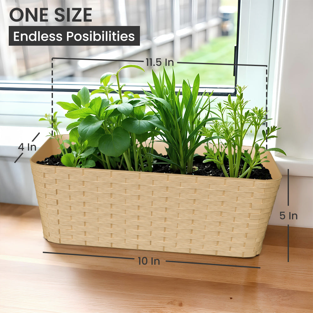 SHERA | RATTAN TRAY
