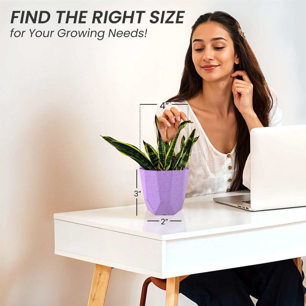 SHERA | HEXA BIO PLANTER