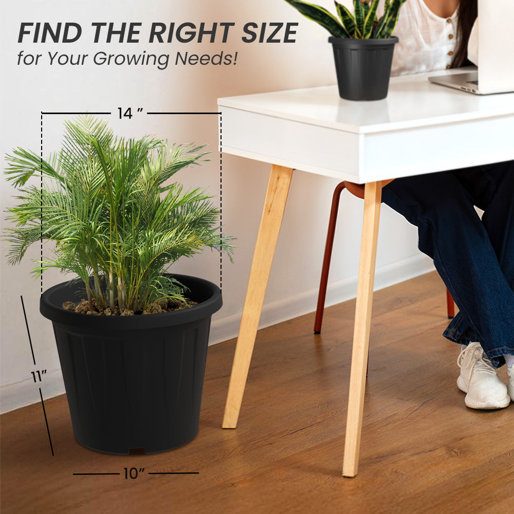 SHERA | CROWN PLANTER