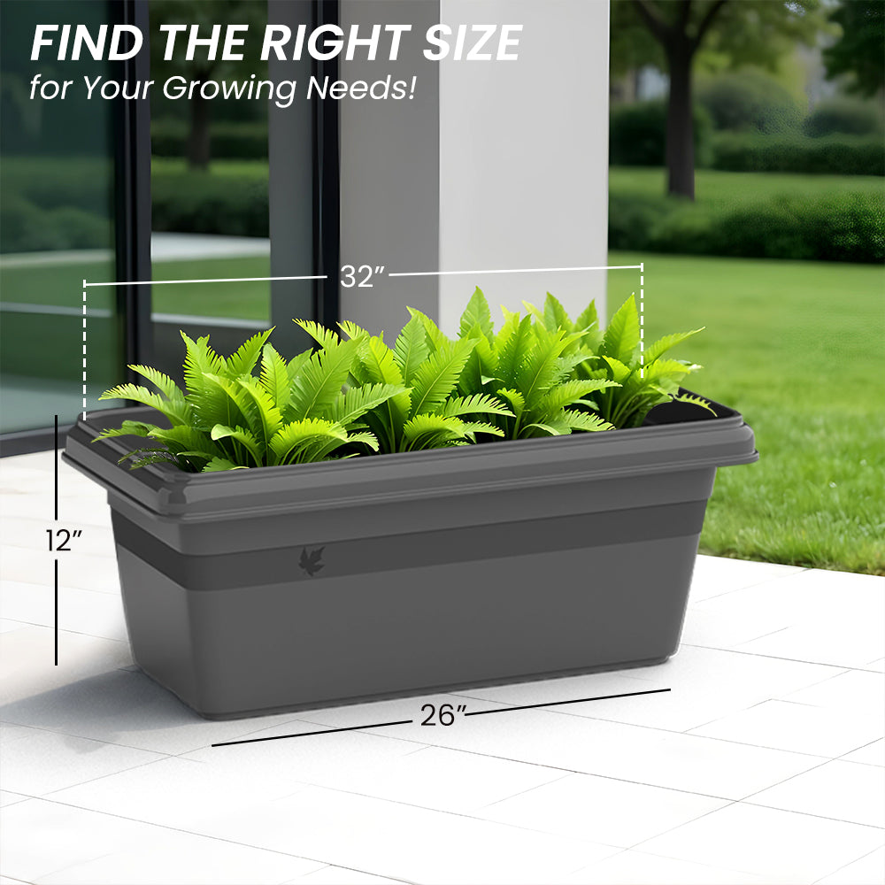 SHERA | TP PLANTER