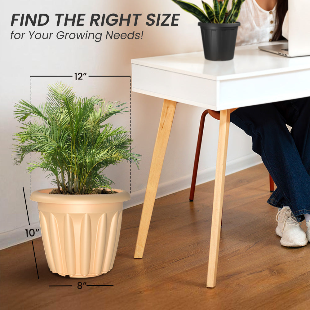 SHERA | FLOOT PLANTER