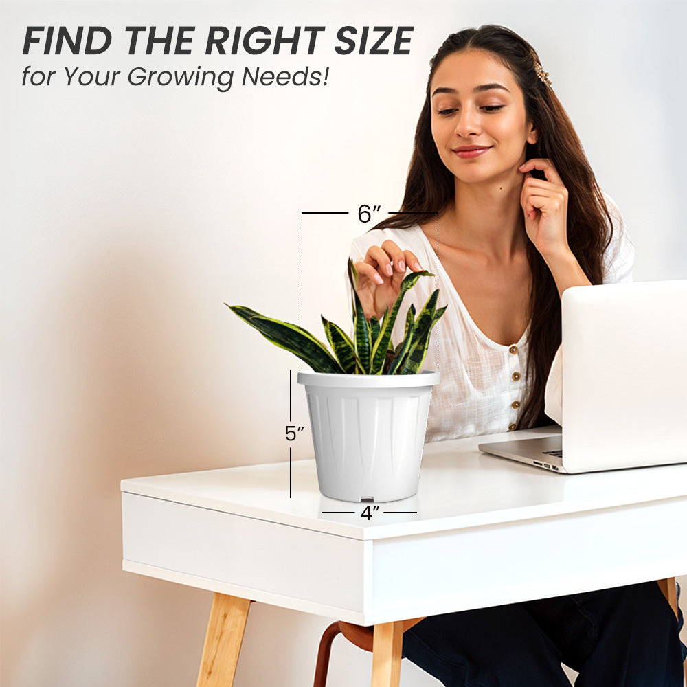 SHERA | CROWN PLANTER