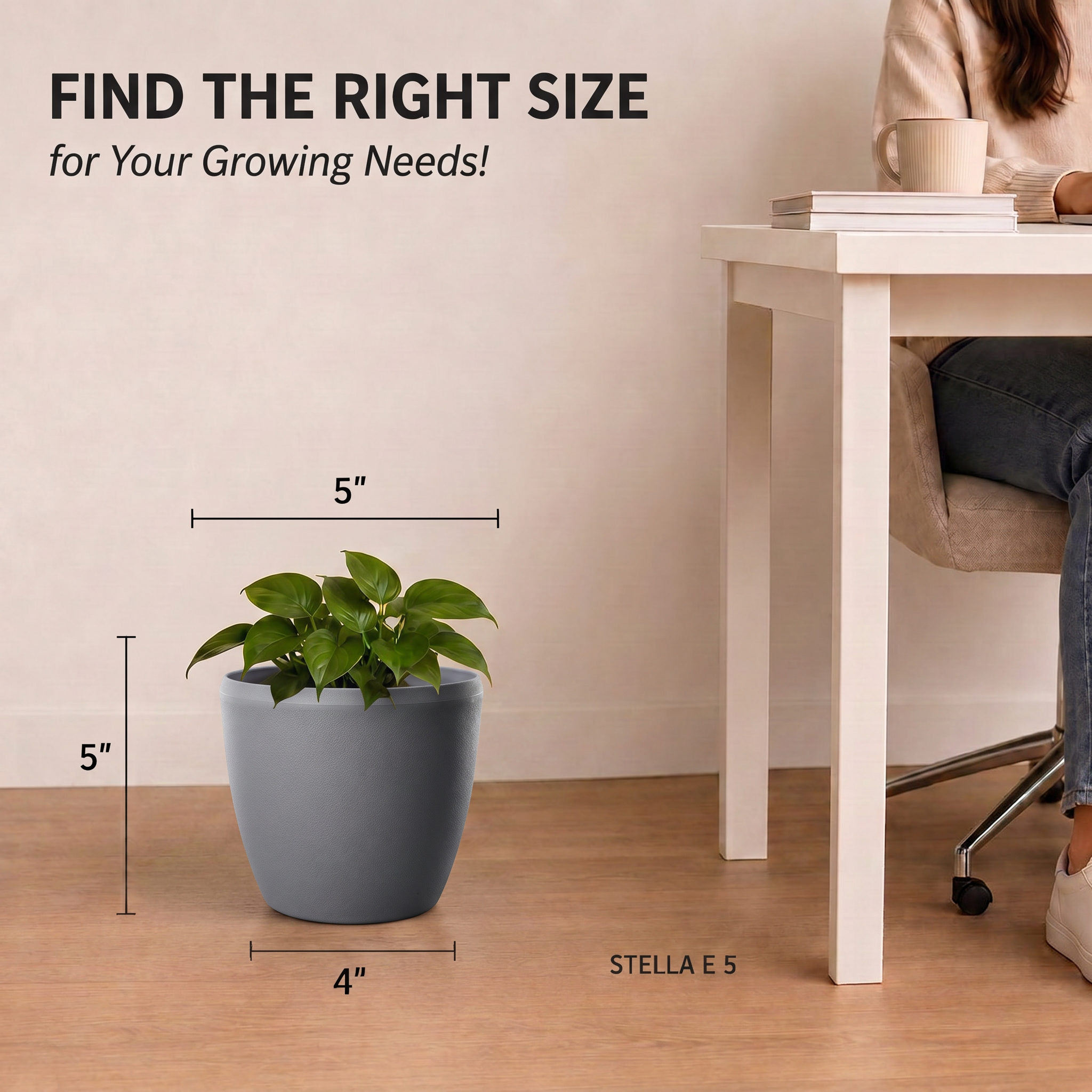 SHERA | STELLA E PLANTER