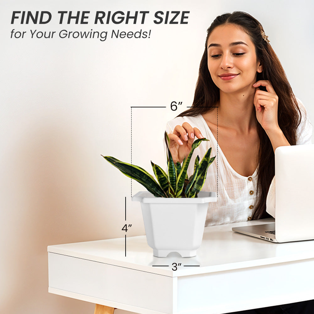 SHERA | OCTA PLANTER SET OF 6
