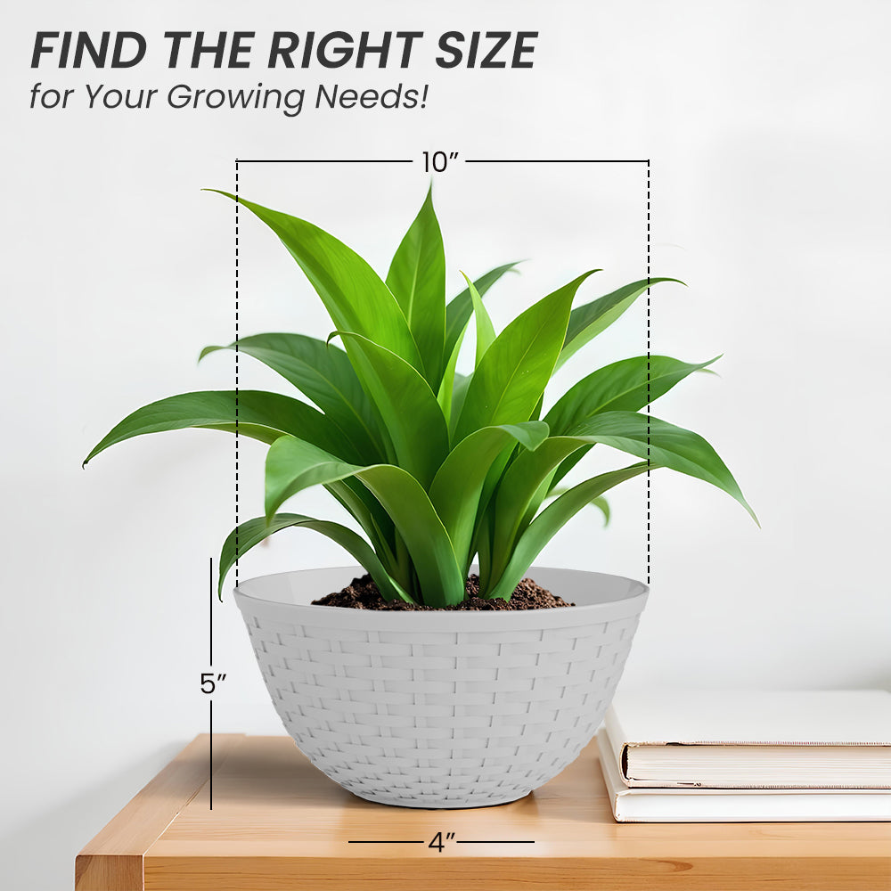 SHERA | CHICK KTR PLANTER