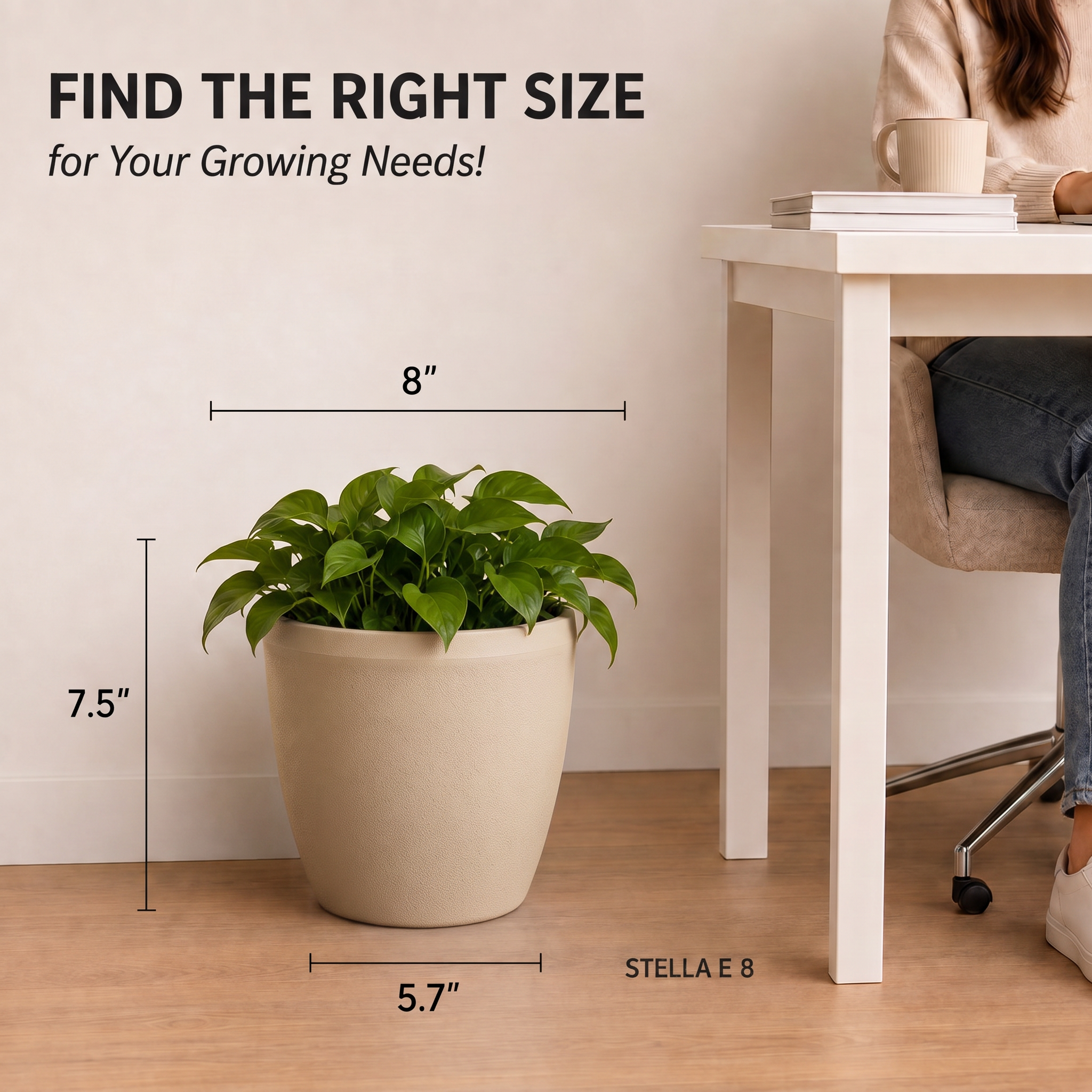 SHERA | STELLA E PLANTER