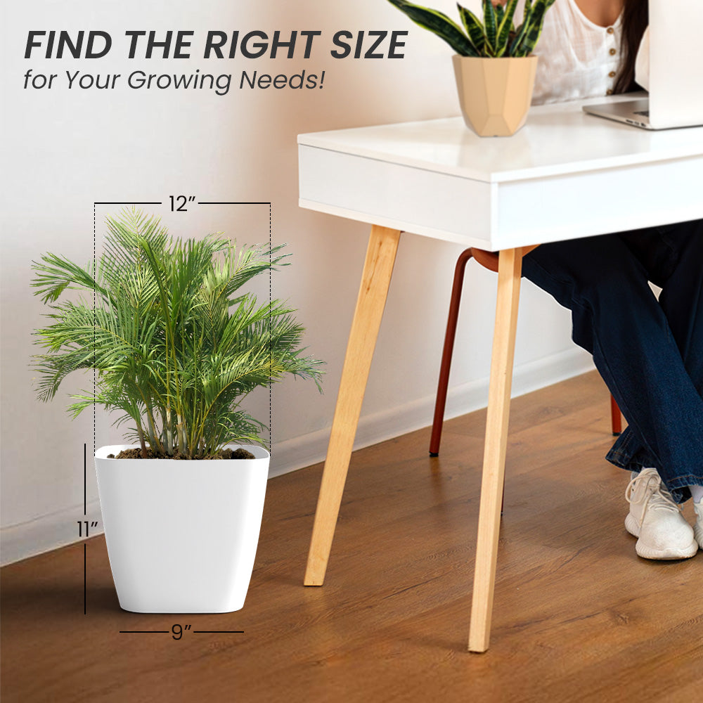 SHERA | STOIC PLANTER