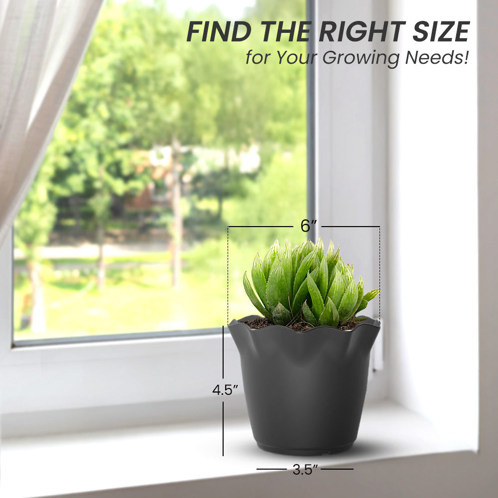 SHERA | FLOWER PLANTER