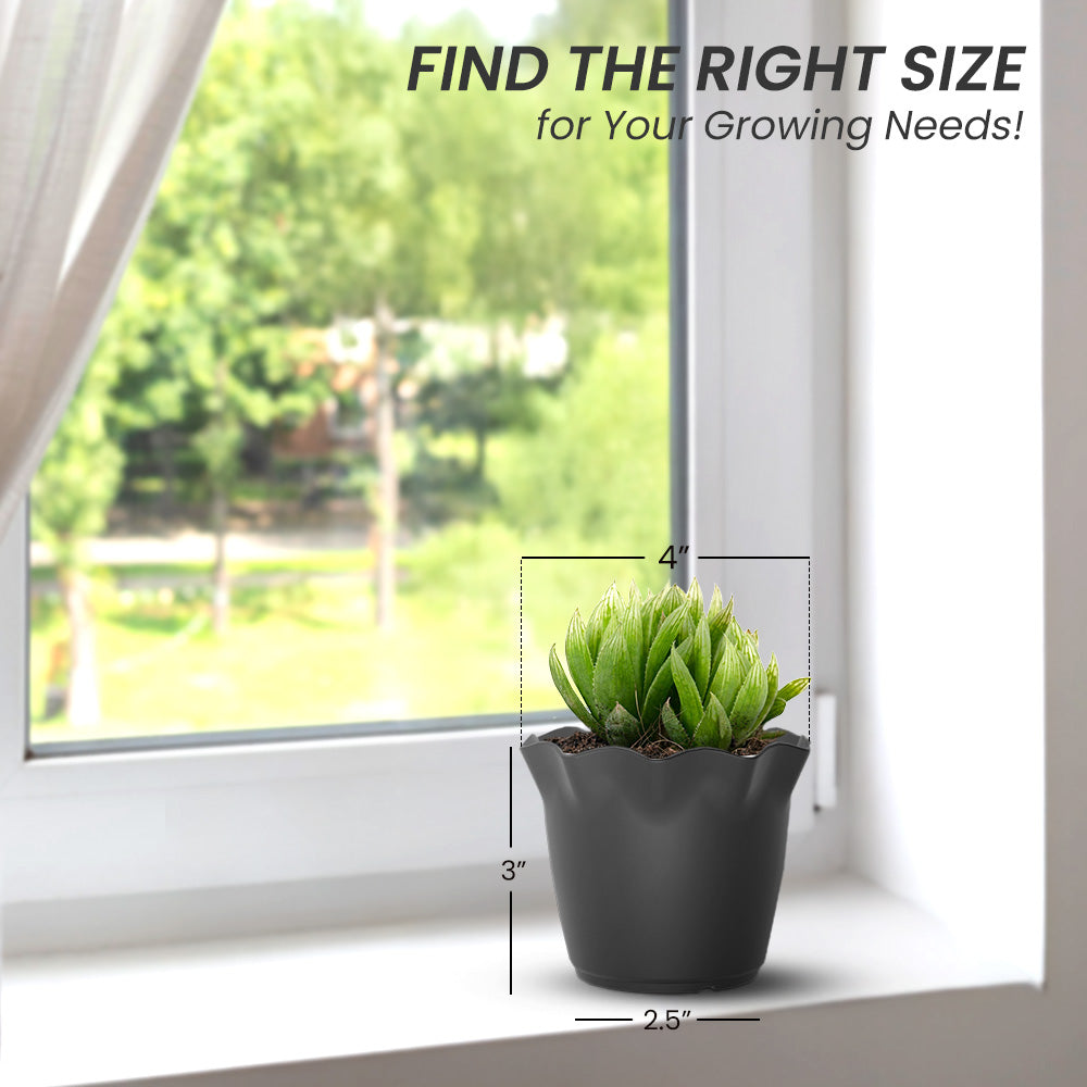 SHERA | FLOWER PLANTER