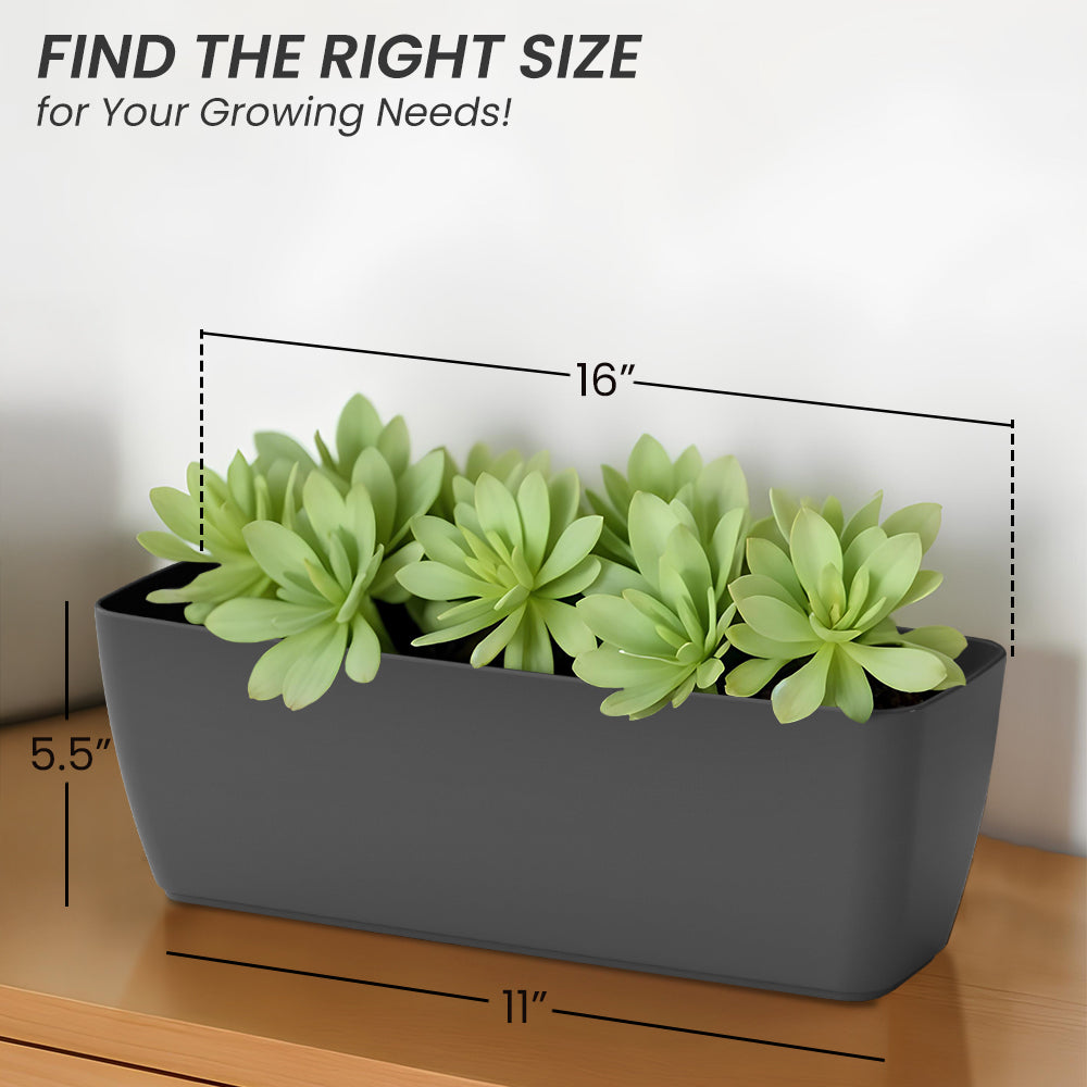 SHERA | CABI TRAY PLANTER