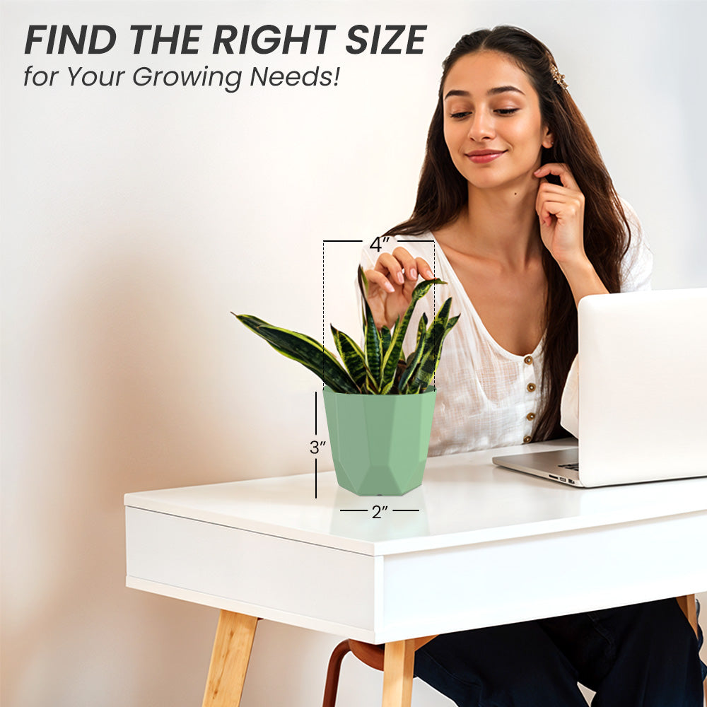 SHERA | HEXA PLANTER